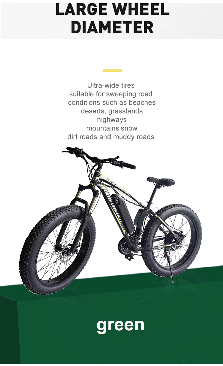 China Carbon Bicycle Carton Electric Motorcycle Motorbike Not Foldable China Electric Bike