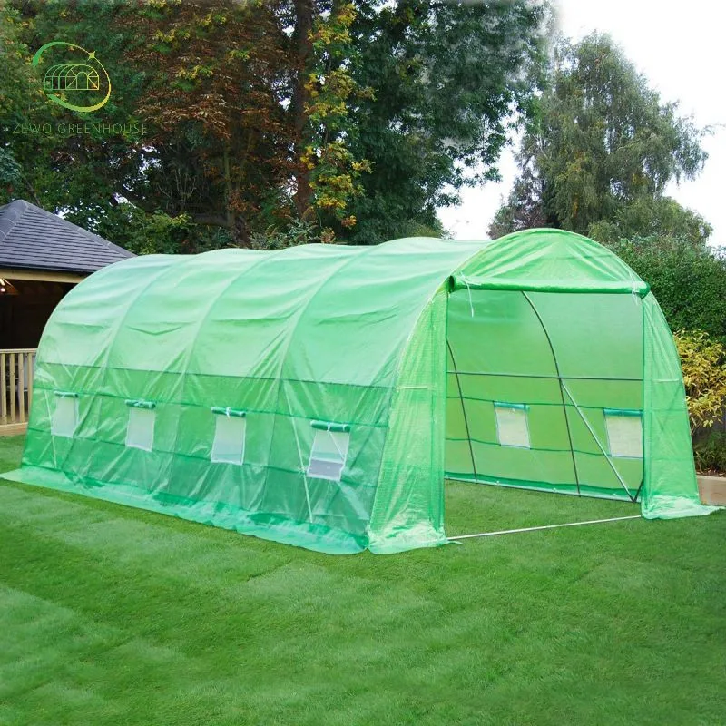 Low Cost Agricultural Home Garden Greenhouse with High quality/High cost performance  for Sale