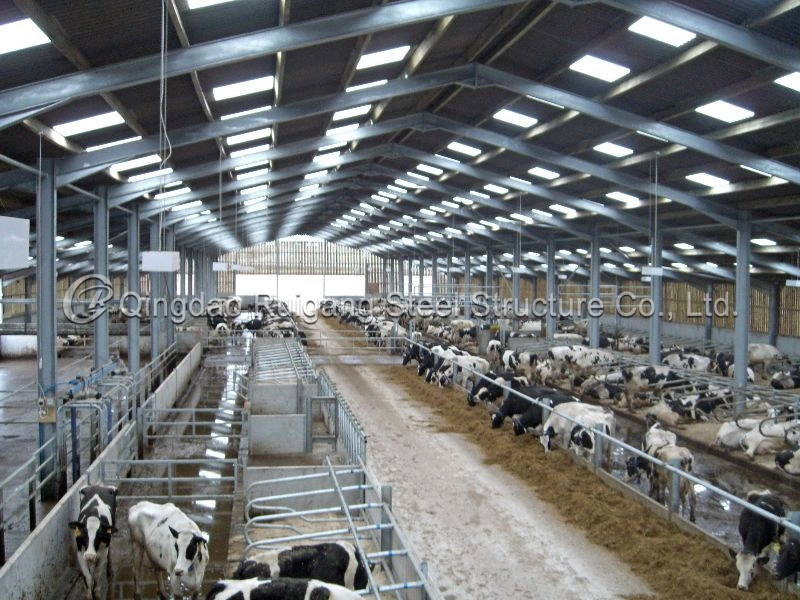 High Rigidity and Big Capacity Pig Farm