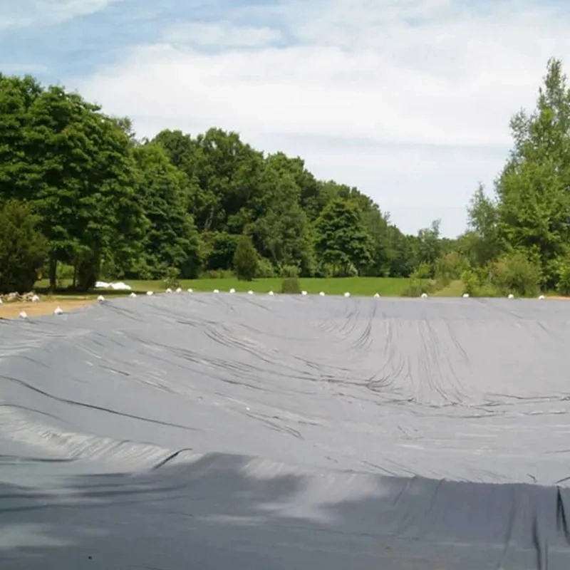 Smooth White Black Green Blue HDPE Geomembrane for Agriculture Pond Liner in Sri-Lanka