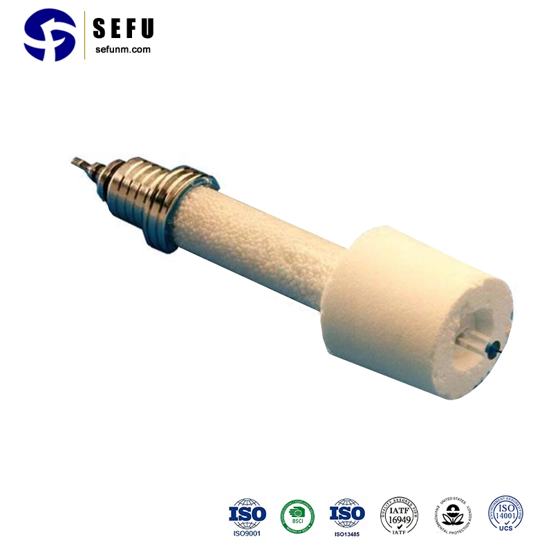 Metallurgical Sensors Thermocouple Supply Immersion Probe Hydrogen Content Measurement for Steel Plant