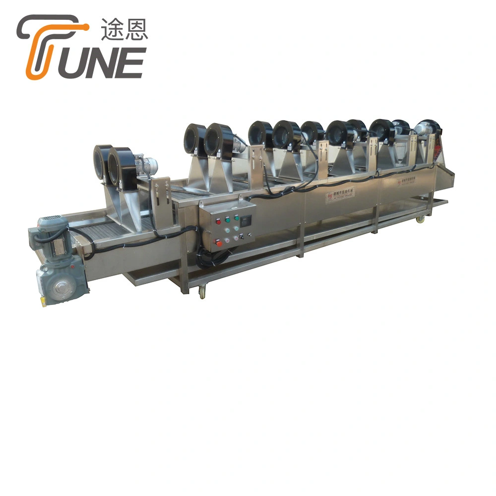 Industrial Cleaning Equipment Fruit and Vegetable Washing Line