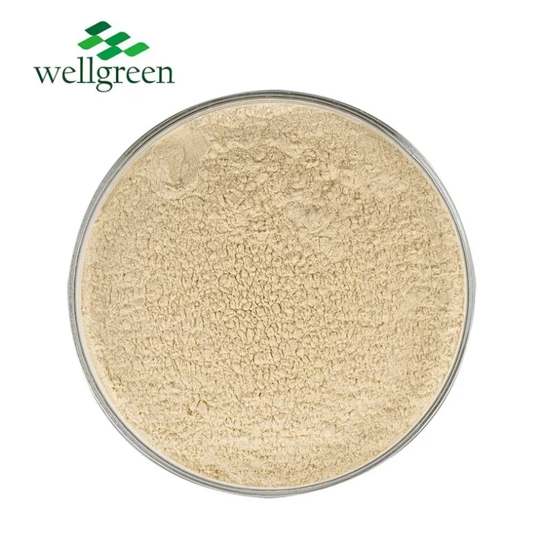 Wellgreen Herbal Extract 100% Natural Herbal Supplements Pea Protein Powder