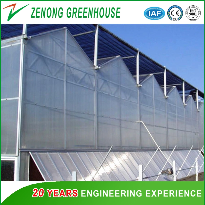 Customized High Quality Gutter Connected Polycarbonate Green House for Sale