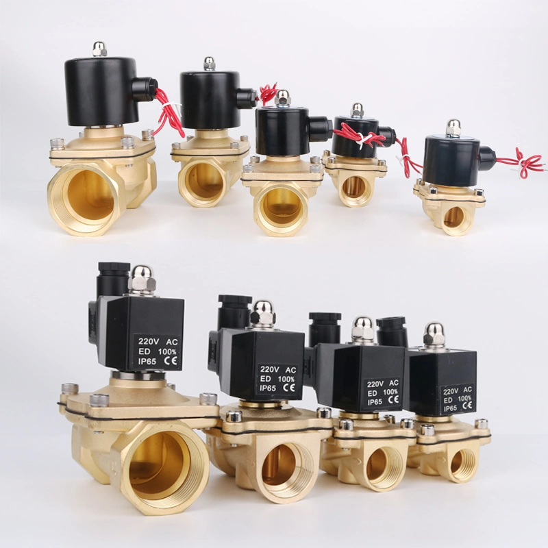 DN35 1 Inch 2W-350-35 Normally Closed Brass AC220V DC12V DC24V 2 Way Solenoid Ball Valve for Water Oils Air