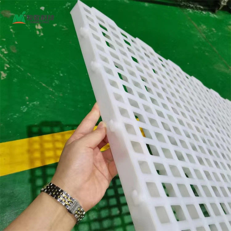 Reinforced PP Material Farming Plastic Slatted Floor 12 X 5