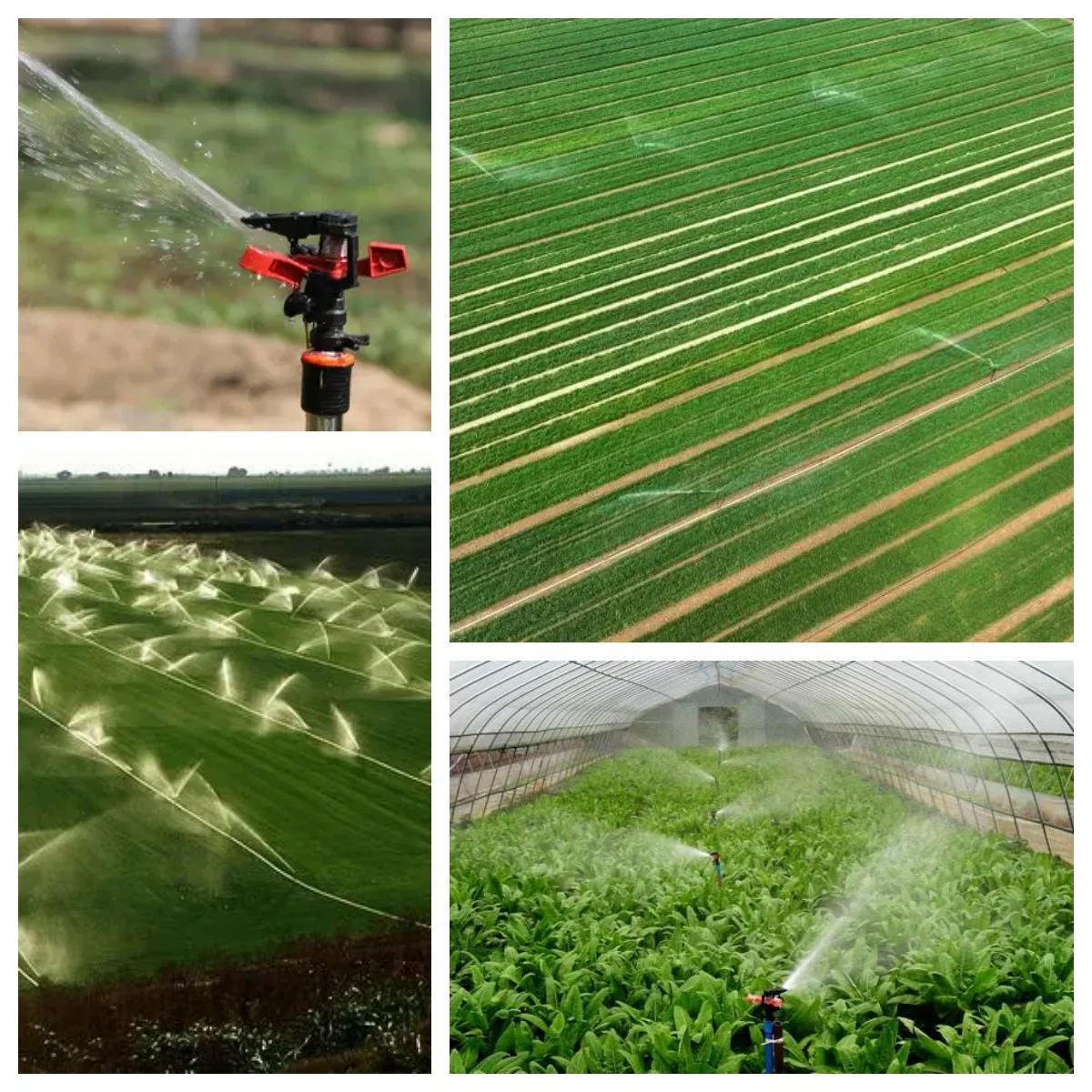 China Garden Tool Plastic Impact Sprinkler for Farming Irrigation System