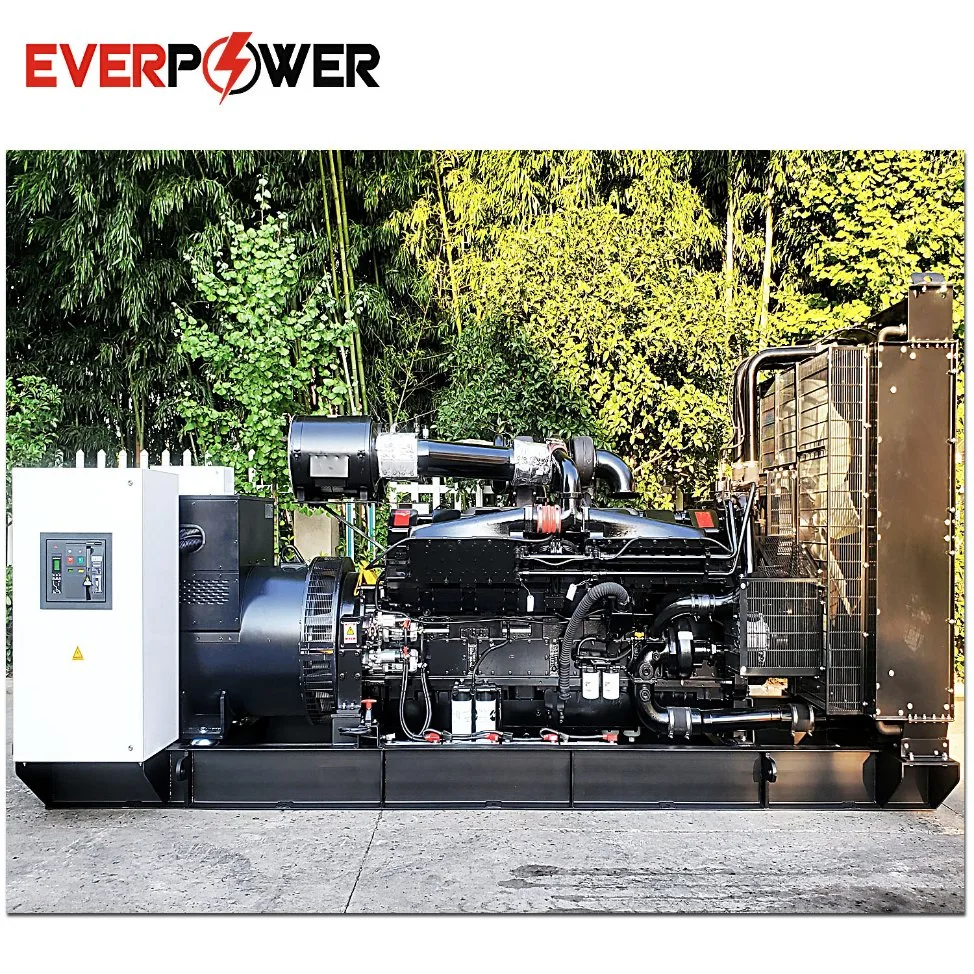 10KVA~2500kVA Grupo Electrógeno eléctrico Cummins Open Silent Diesel Power Genset Perkins Weichai Baudouin Volvo MTU Mitsubishi Yuchai FAW Engines Factory Precio