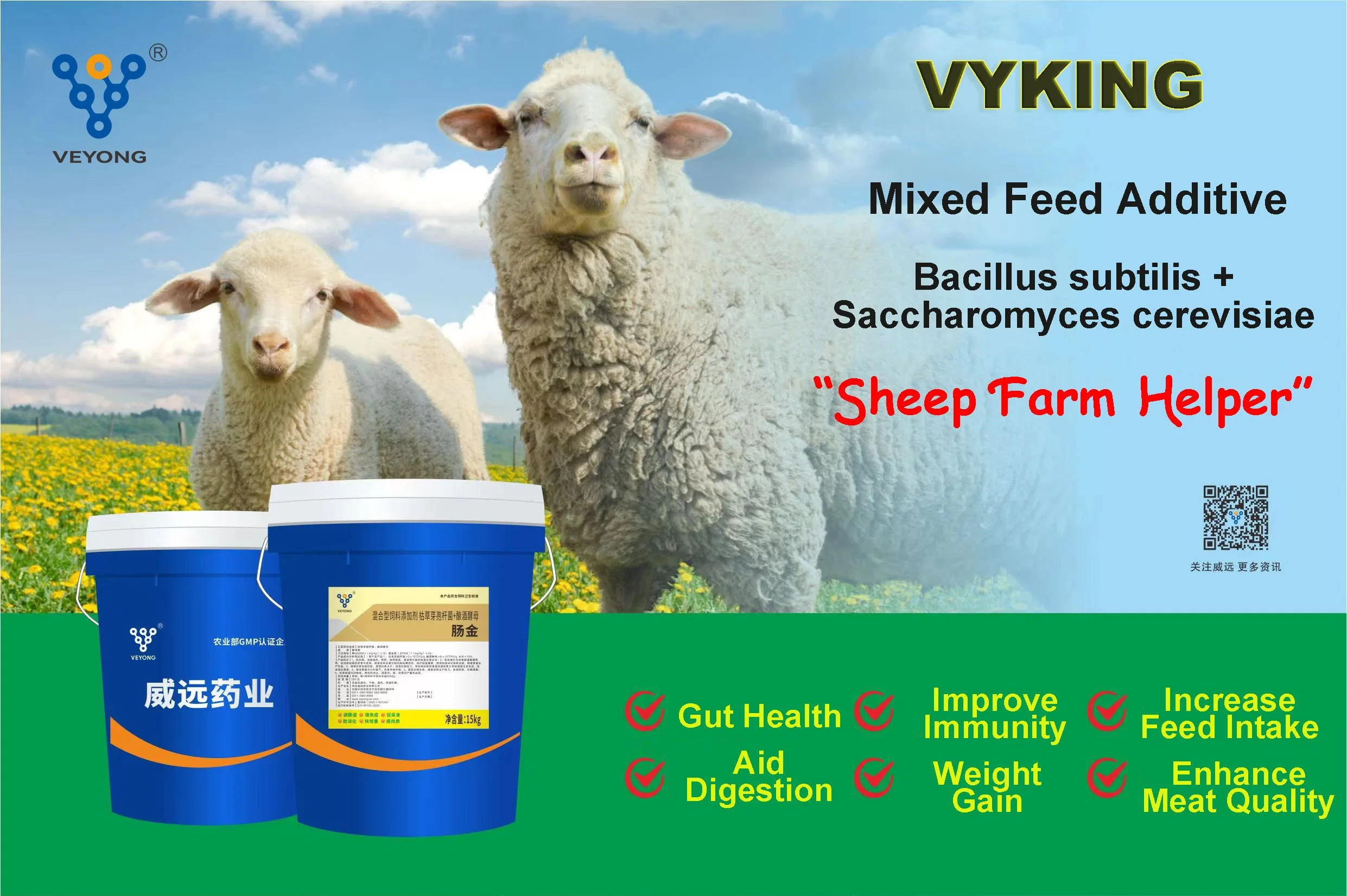 La Chine Factoires Alimentation des additifs pour les bovins moutons pour gagner du poids rapidement, de résister au stress et de promouvoir l'apport d'alimentation