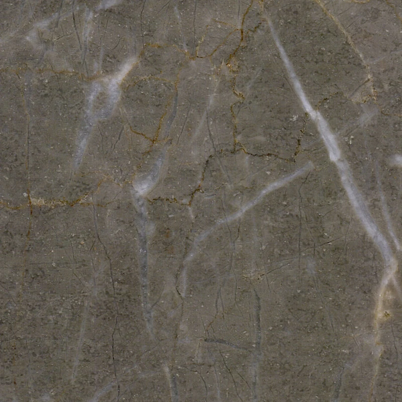 Fabricante de mármore Itália Cinzento Marble Grey com White Veins Grigio Carnico Grey Marble para o Piso