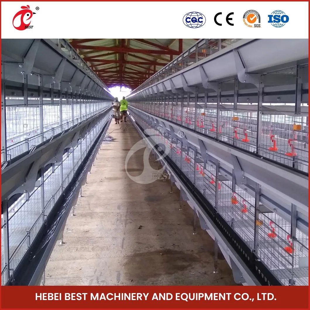 Bestchickencage H Type Breeder Cage Layer Cage China 100 Chickens Layer Coop Manufacturer ODM Custom High Productivity Egg Chicken Machine Cage System