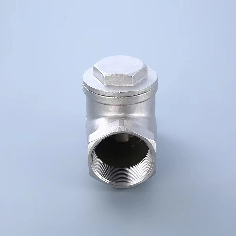 Wenzhou Bstv Manufacturer Stainless Steel Female Non-Return Swing Horizontal Check Valve with High quality/High cost performance 
