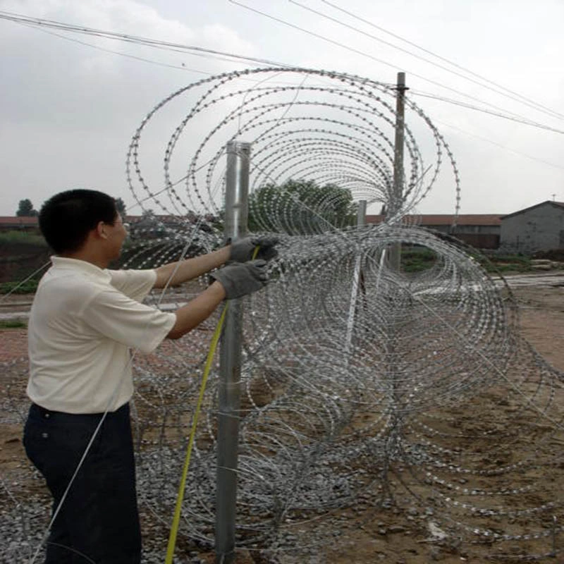 Galvanized High Carbon Steel Razor Wire Mesh Barrier Fencing Wire