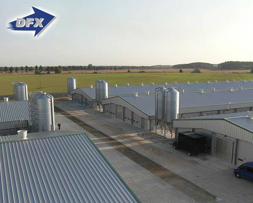 Popular Prefab Design Steel Structure Farm Shed Building / Chicken Houses / Poultry Farms