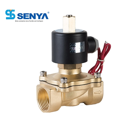 Ningbo Senya Chinese Leading Manufacturer Hot Sale 2wk Series Great Quality Brand New Top Level Valve 2/2 Ways Direct Acting Reliable Solenoid Valve