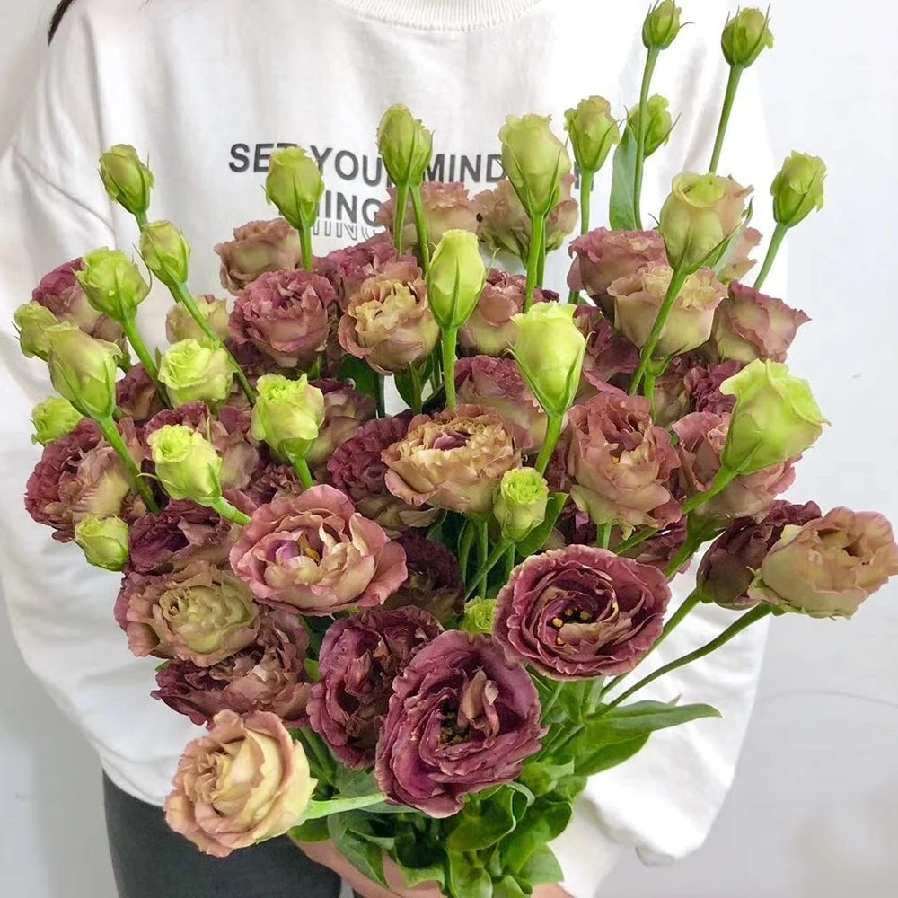 Wholesale/Supplier Beautiful White Fresh Cut Eustoma Flowers for Weddings Home Office Decoration