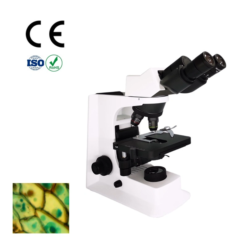 Microscopio Biológico Binocular de laboratorio con objetivo del Plan Infinito LWD 40X