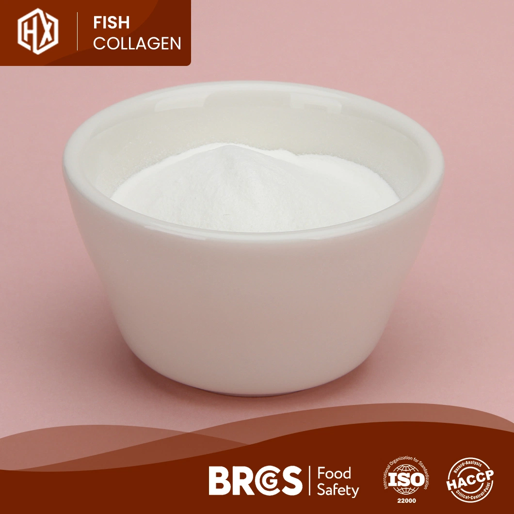 Haoxiang Tilapia escamas colagénio peptídeos granule peptídeo puro nenhum Adicionar Branqueamento de pele Anti-envelhecimento Healthcare produto grau alimentar e Cosmetic Grade Vitamina em pó