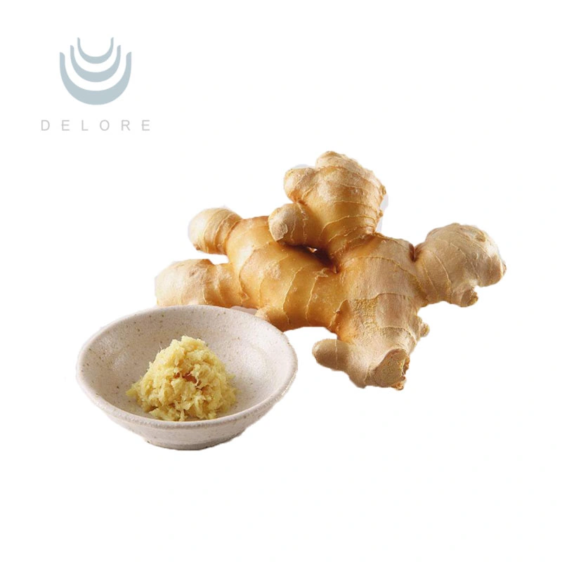 High quality/High cost performance  100% Natural Ginger Extract Ginger Root Extract Ginger Extract Powder Ginger Extract Gingerols