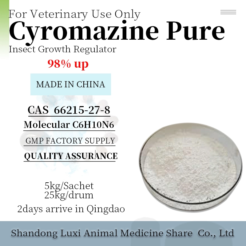 Hochwertige Cyromazin Pure 98% reine GMP Factory Supply China