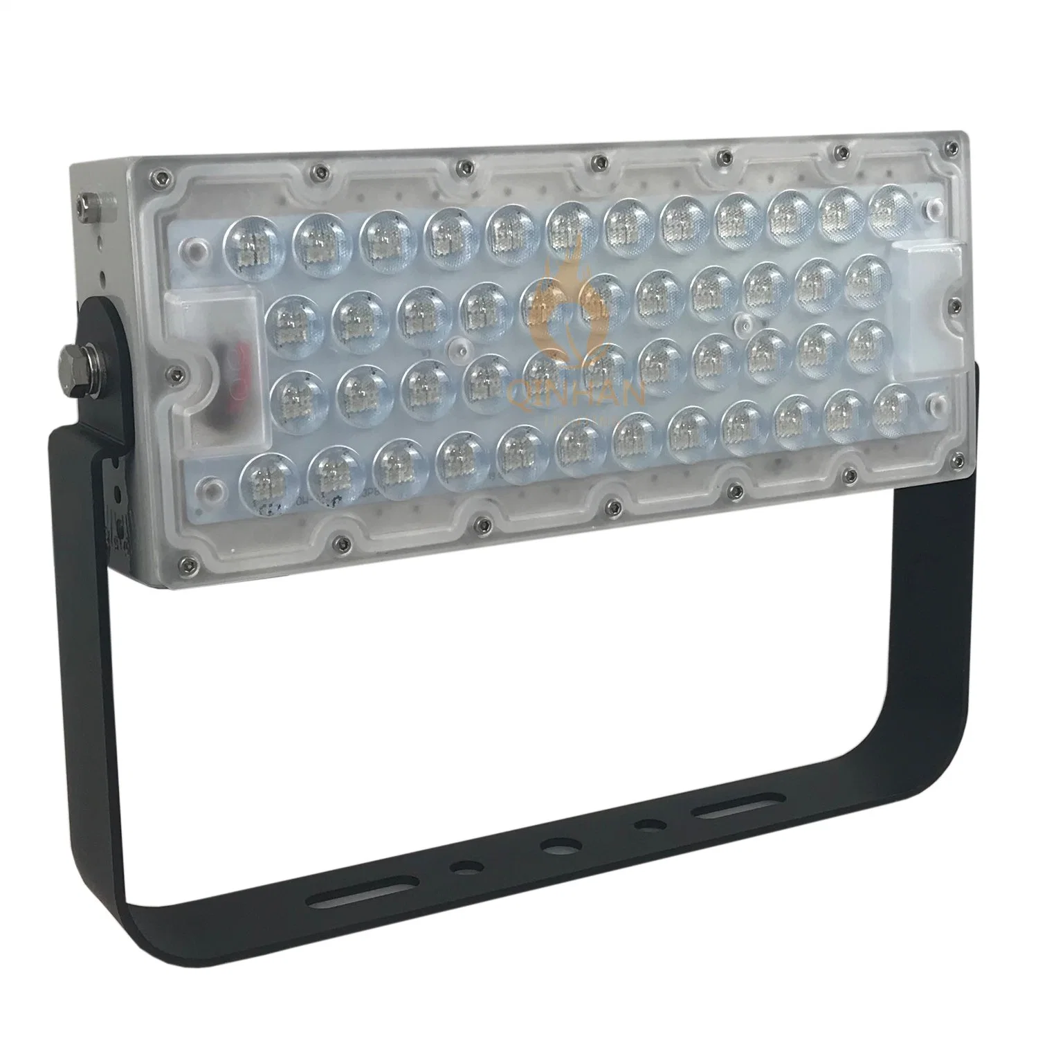 Outdoor IP65 100W vert/bleu/rouge spot LED RVB pour projecteur de jardin d'éclairage du mur du bâtiment de l'arbre de stationnement