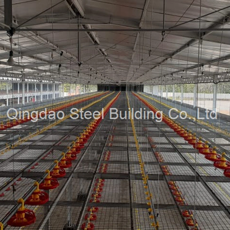 China Beste Qualität Light Steel Struktur Geflügel Huhn Farm Stahl Gebäude Strukturieren