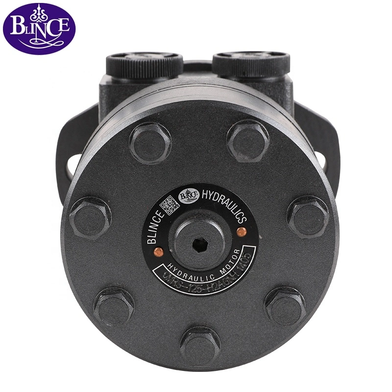 Blince Bmrs 36/50/80/100/125/160/200/250/315/375cc Hydraulic Motor