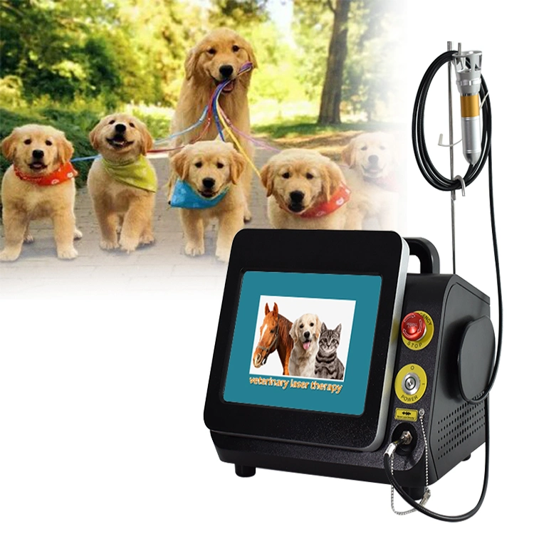 Portable non invasive Animal thérapie physique élimination de la douleur thérapie physique Laser 980nm