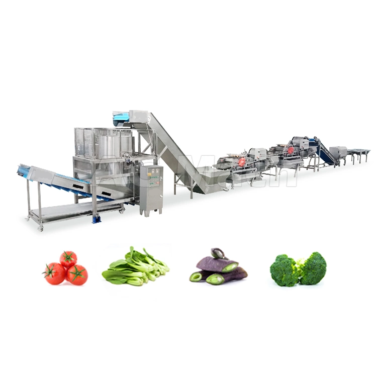 Automatic Oysters Brush Roller Cleaning Machine Fruit Washing Production Line