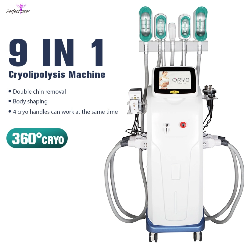 Salon Fat Freezing Machine Cryolipolysis Weight Loss Lipolaser Ceinture 360 Beauty Device