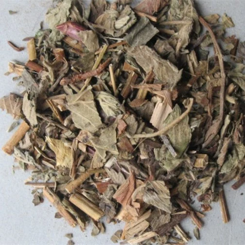 Xian que Cao tradicional La medicina herbaria china Agrimoniae Herba