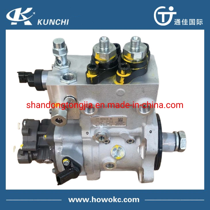 Original Sinotruk HOWO Auto Spare Part High Pressure Oil Pump D10.38 Engine Fuel Injection Pump 0445020216 Vg1034080001