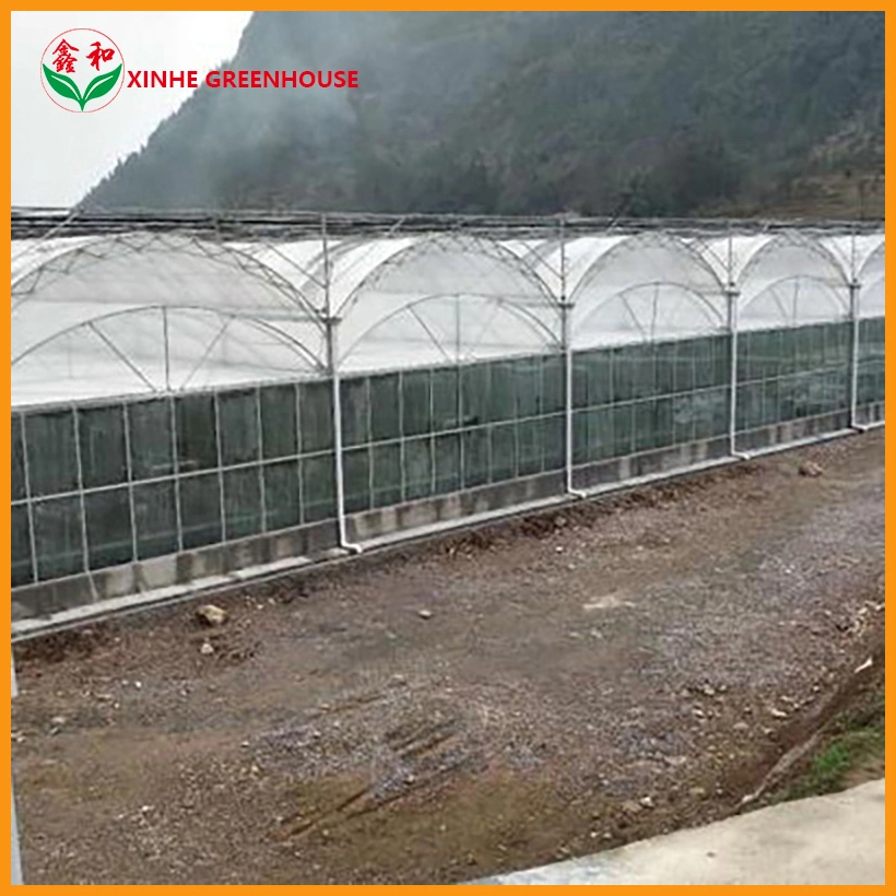 Hot-Galvanized Flowers Green House Agricultural with Plastic Film