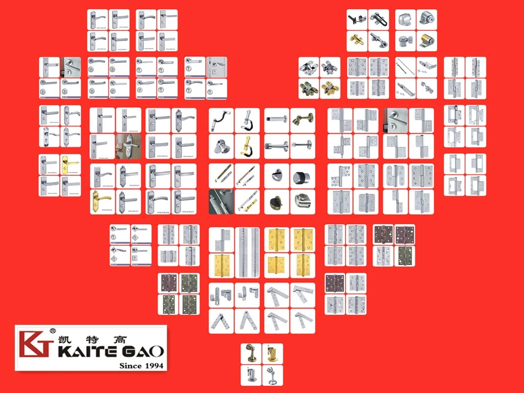 مفصلة باب من الفولاذ المقاوم للصدأ SUS304 Satin Finish Stetلس (KTG-513)