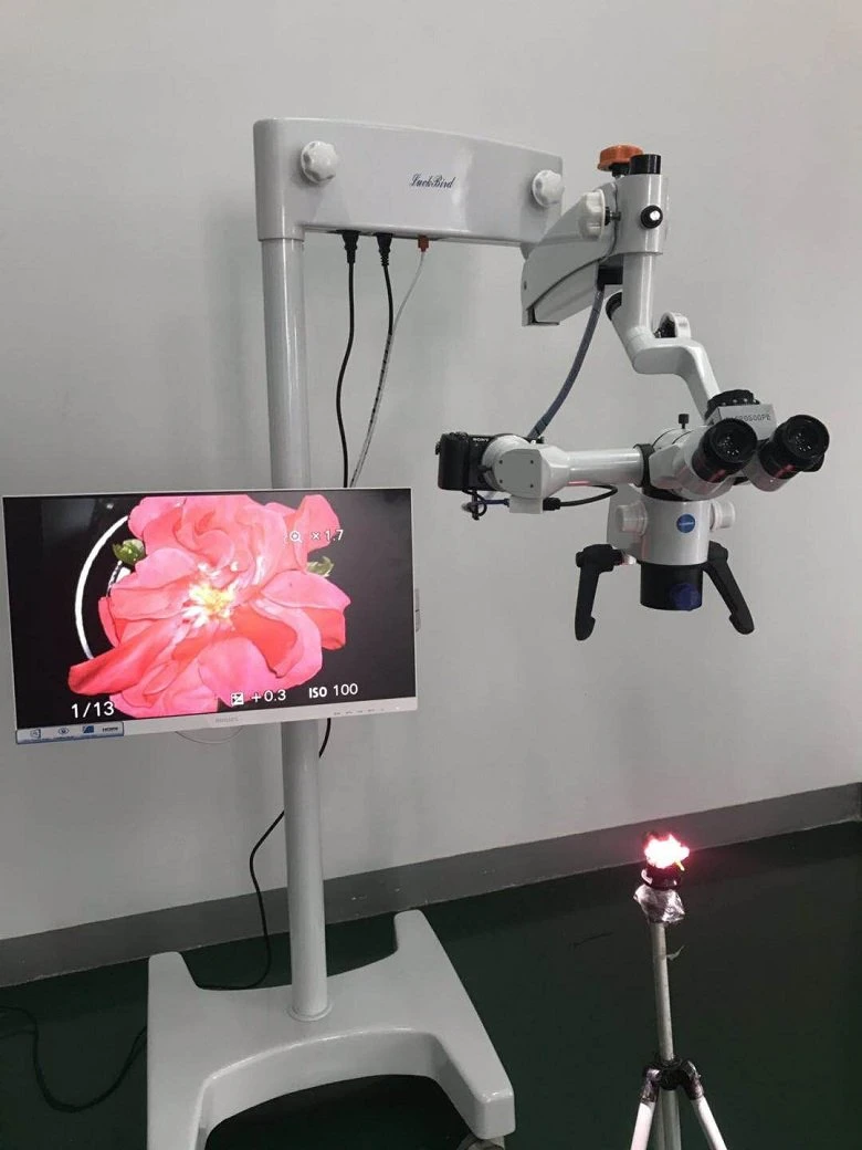 Binocular Ent Dental Operation Microscope with Stereoscopic Impression Optical System and LED Cold Light Mslsx14