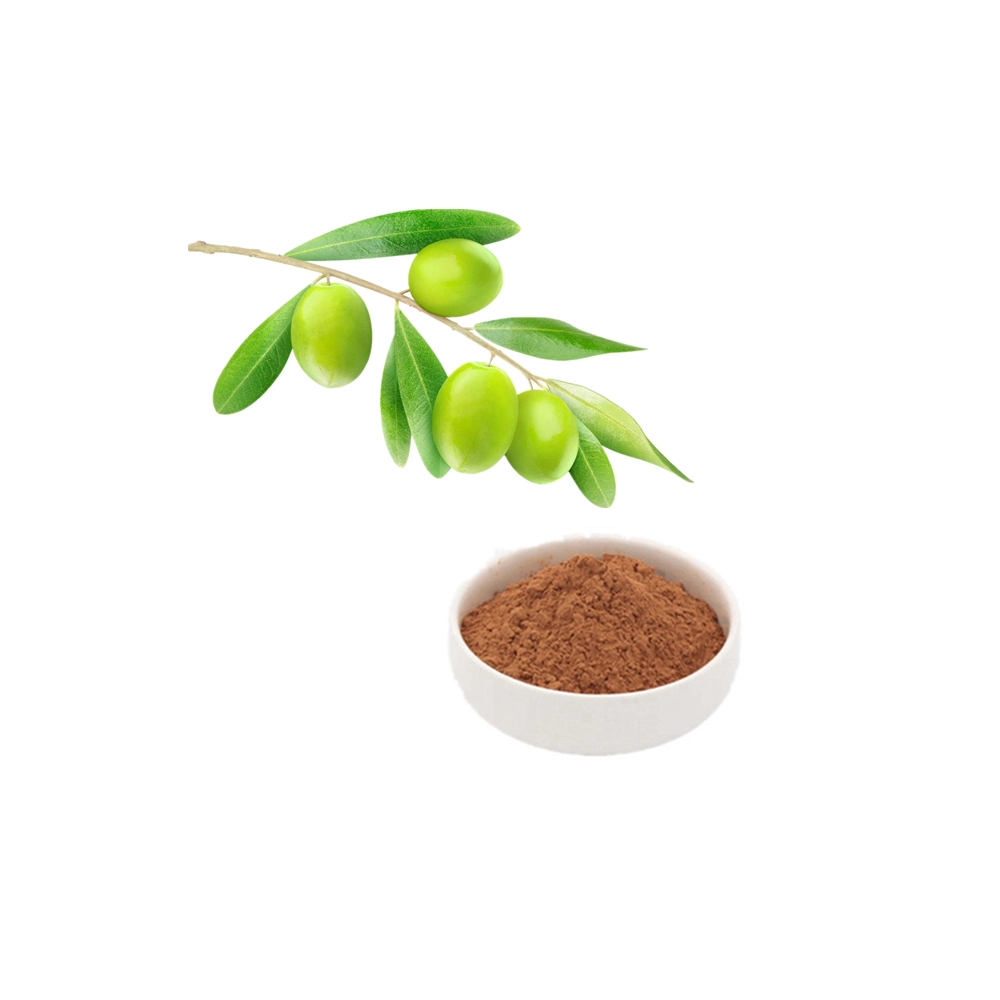 Health Care Antioxidant Olive Leaf Extract 20% 40% 50% 60% 70% 80% Oleuropein