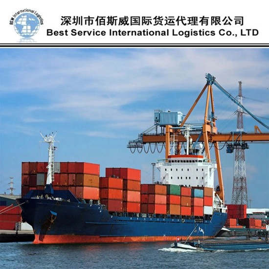 Safe and Cheapest Ocean Shipping International Forwarder Freight to Sea Fright From China to Chad, Tdsrh/ Tdatv