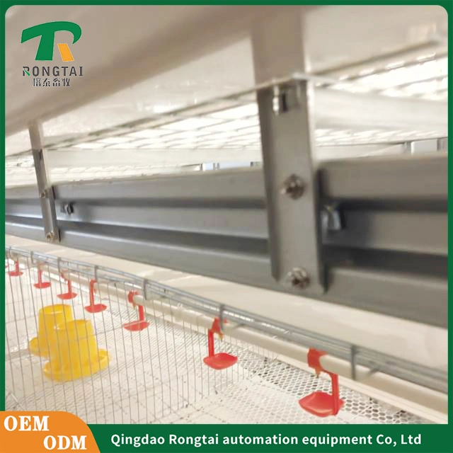 Automatic Incubator and Hatcher Poultry Equipment of Egg Layer Chicken Cage Farming Automatic