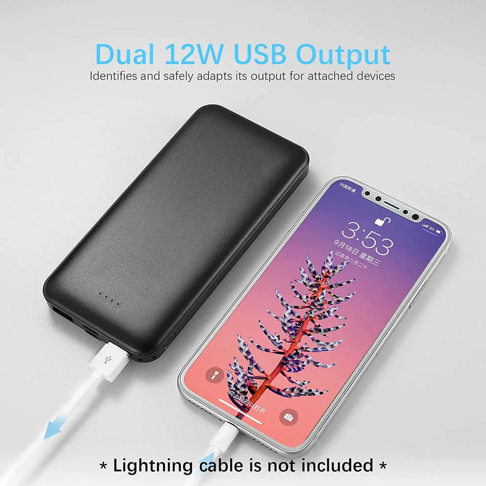 Factory Wholesale/Supplier 10000 mAh New Powerbank Portable Mobile Phones External Emergency Power Supply