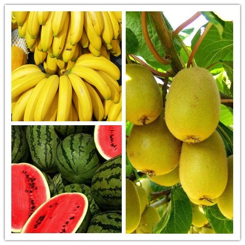 Best Price Ripener Ethephon Plant Hormone Banana