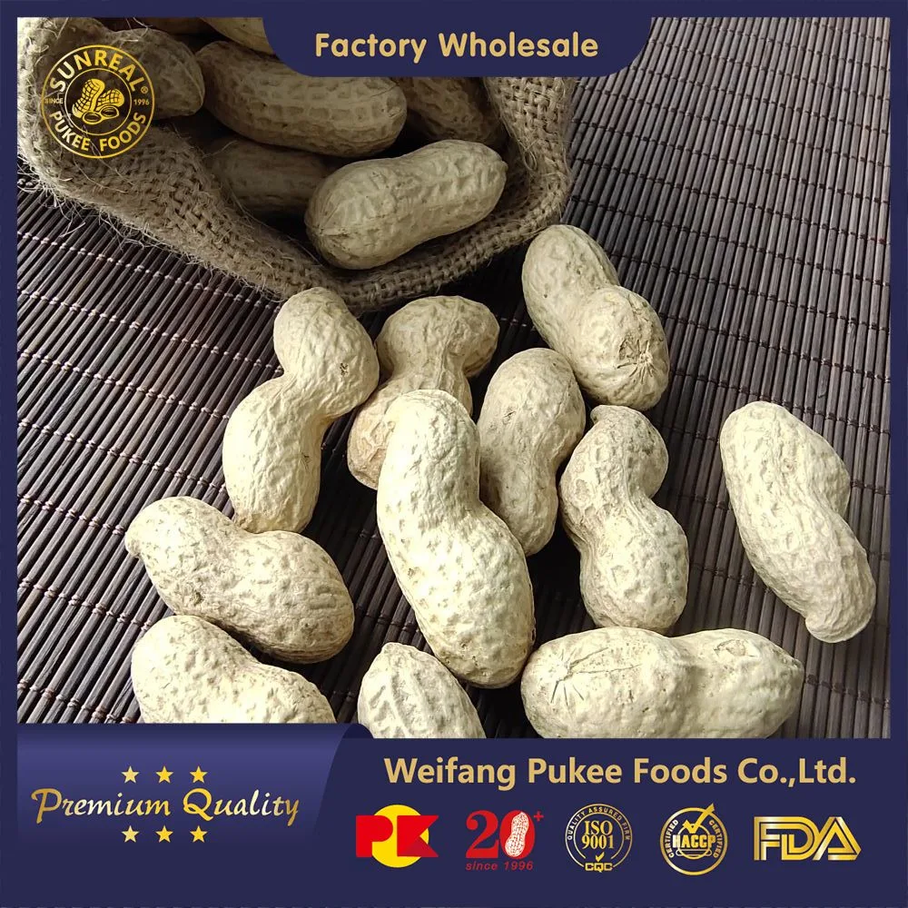 Virginia Peanuts /Raw Peanut in Shell /China / New Crop Best Packing