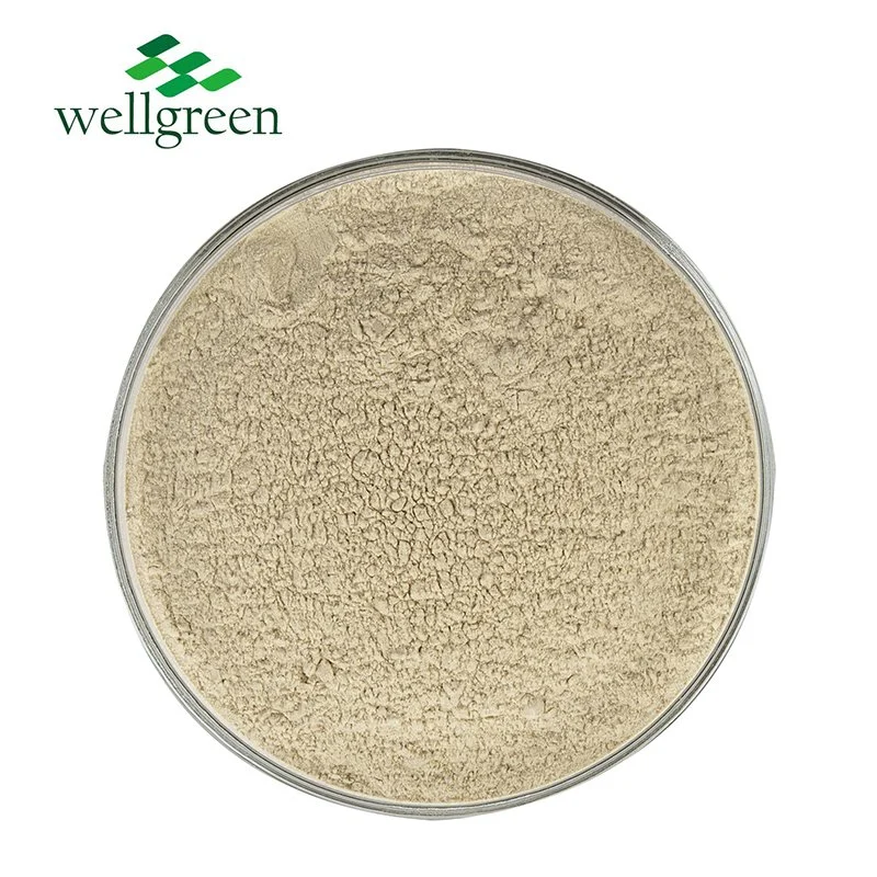 CAS 9072-19-9 Fucoxanthin Natural Fucus vesiculosus Gagome algas en polvo Extracto de Algas Fucoidan