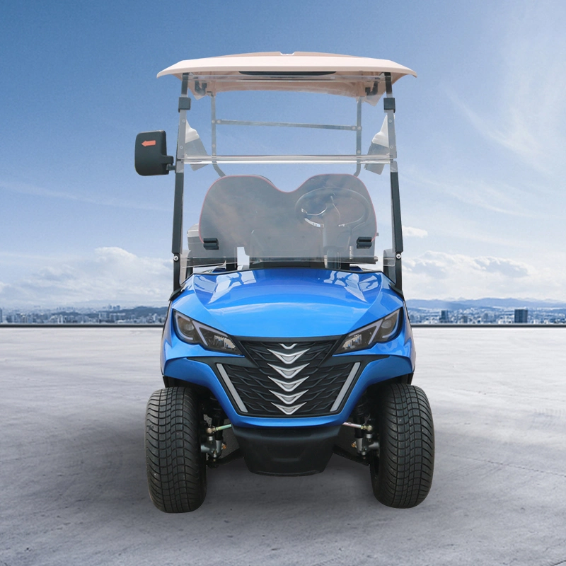 Design profissional personalizado Forge G2 Electric Golf Carts de 2 lugares Buggy do Golf