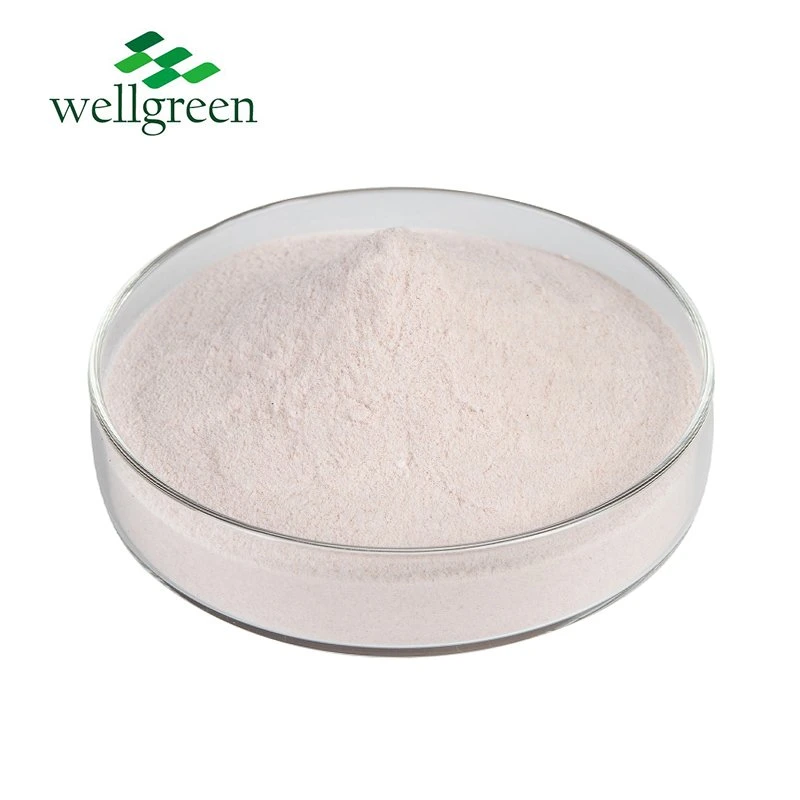 Wellgreen ISO Factory Food Grade Freeze Dried Pure Organic Fruit Extract Mangosteen Powder