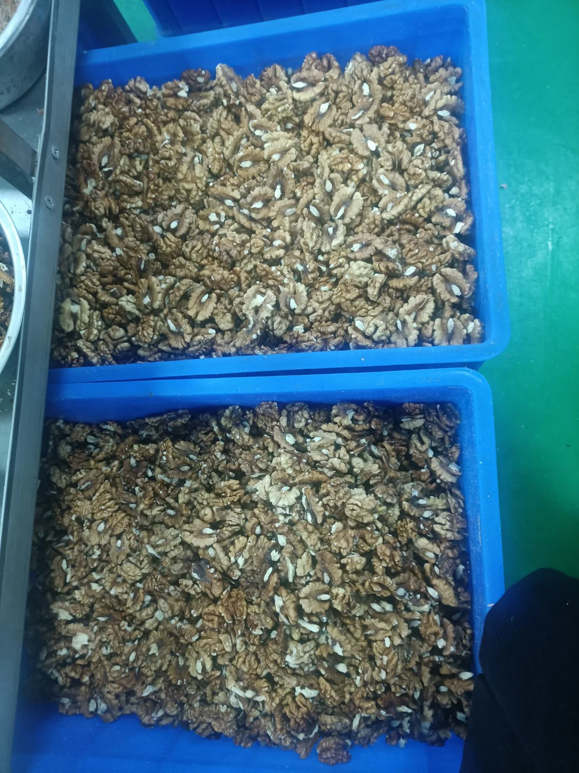 High-Quality Xinjiang Walnut Kernels