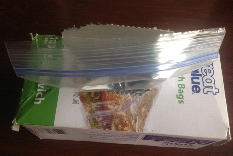 Wholesale Plastic Sandwich Bag with Double Zipper Closure