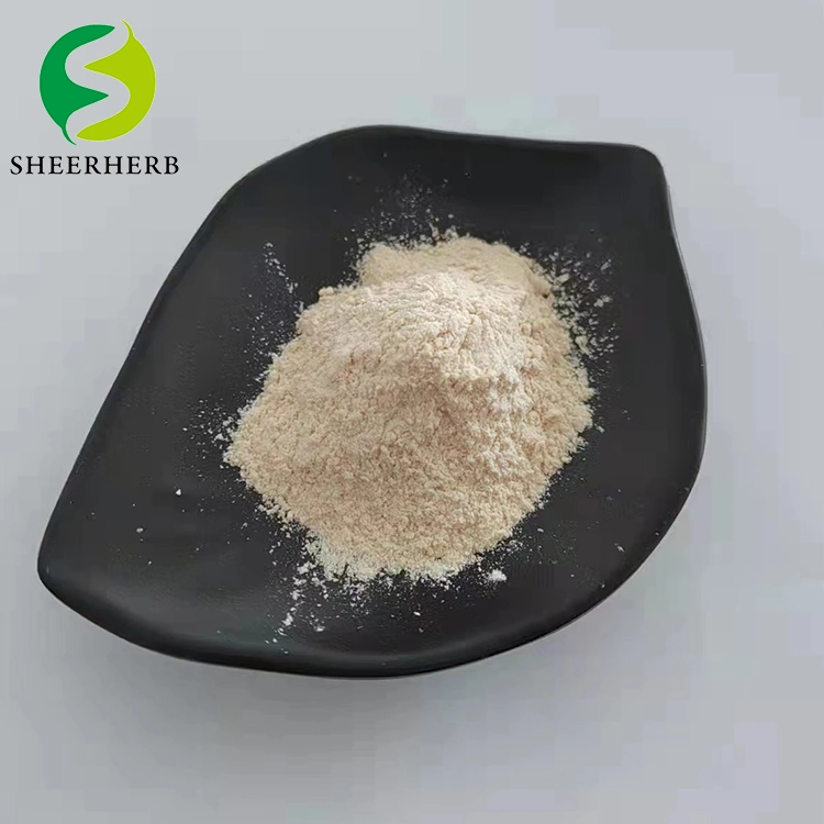 5htp Factory Direct Sale High Purity in Stock 5htp Best Price L-5-Hydroxytryptophan Griffonia Seed Extract 99%