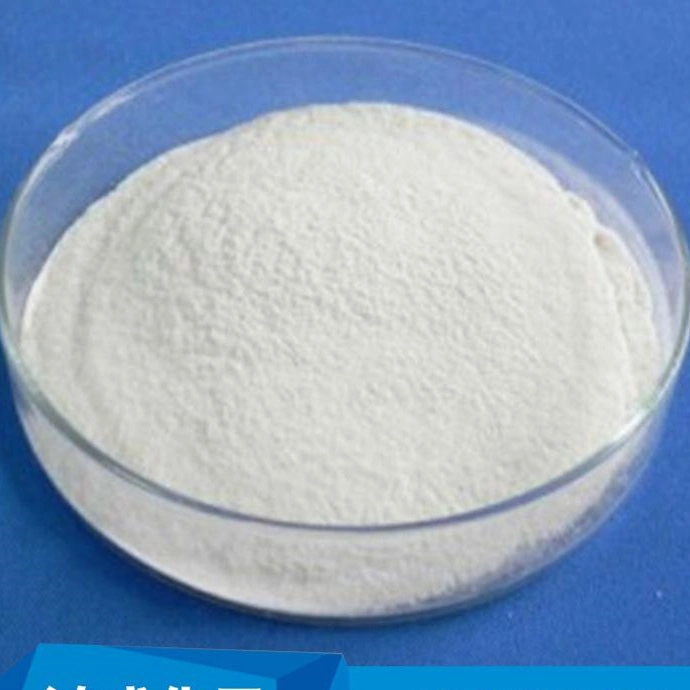 Rutile Type Chemical TiO2 First Class Grade Titanium Dioxide for Powder Coating