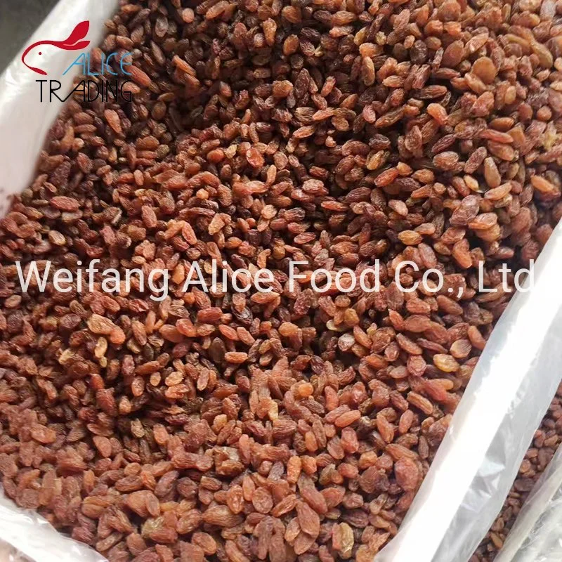 Good Quality Chinese Bulk Xinjiang Sultana Red Raisins