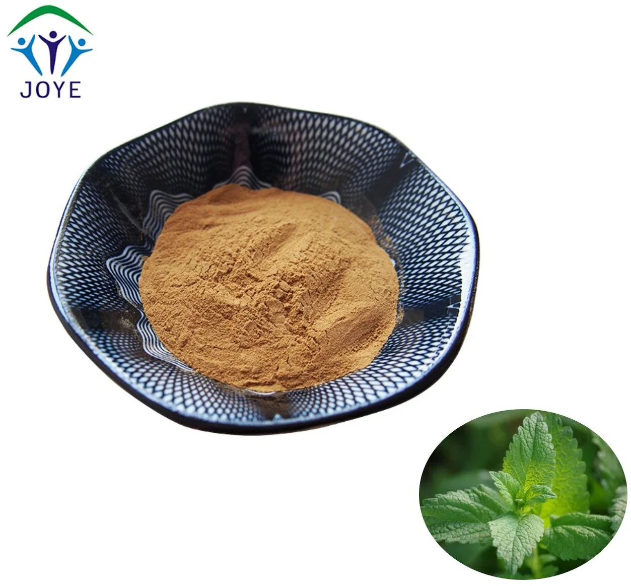Natural Mint Extract Powder, Menthol, Peppermint Extract